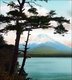 Japan: A view of Mount Fuji, c.1895